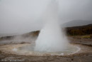 Some of Iceland's natural wonders on the Golden Circle Tour///Geyser